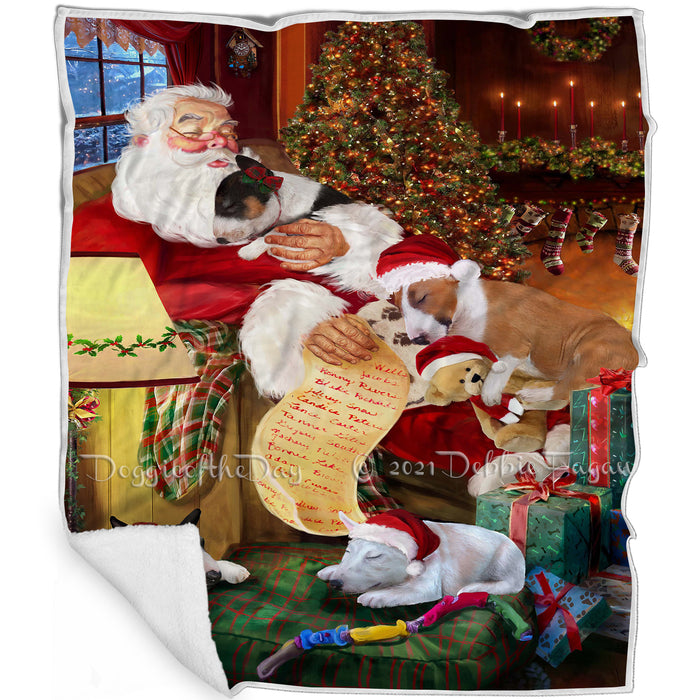 Bull Terrier Dog and Puppies Sleeping with Santa Blanket