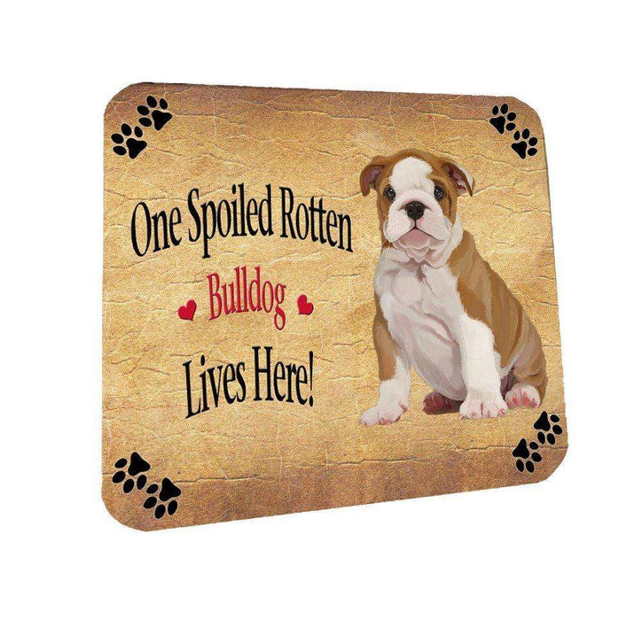 Bulldog Puppy Spoiled Rotten Dog Coasters Set of 4