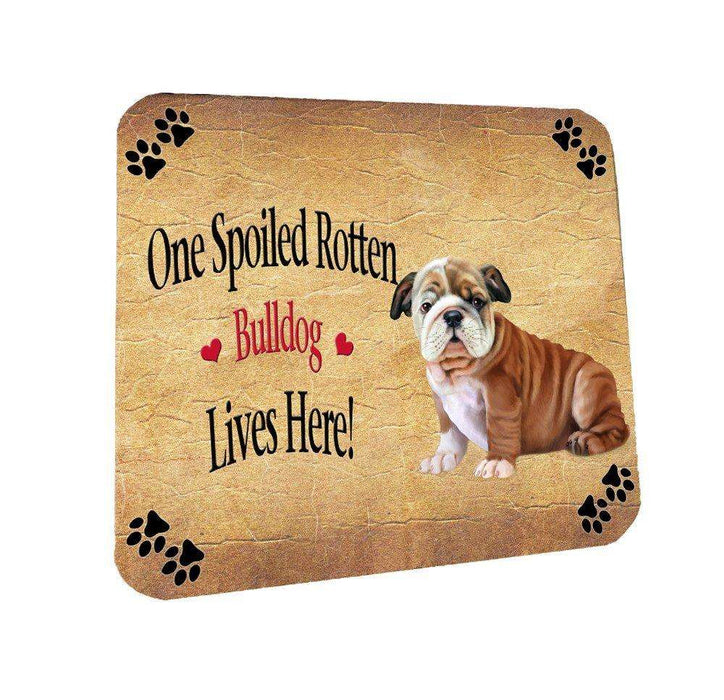 Bulldog Puppy Spoiled Rotten Dog Coasters Set of 4