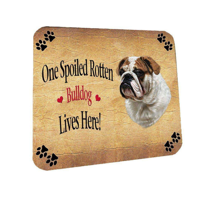 Bulldog Spoiled Rotten Dog Coasters Set of 4