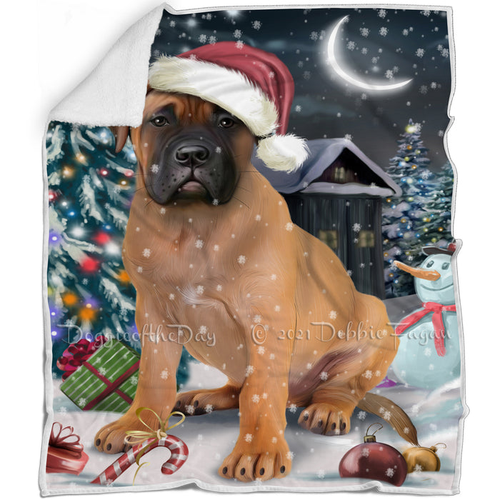 Have a Holly Jolly Christmas Bullmastiffs Dog in Holiday Background Blanket D144