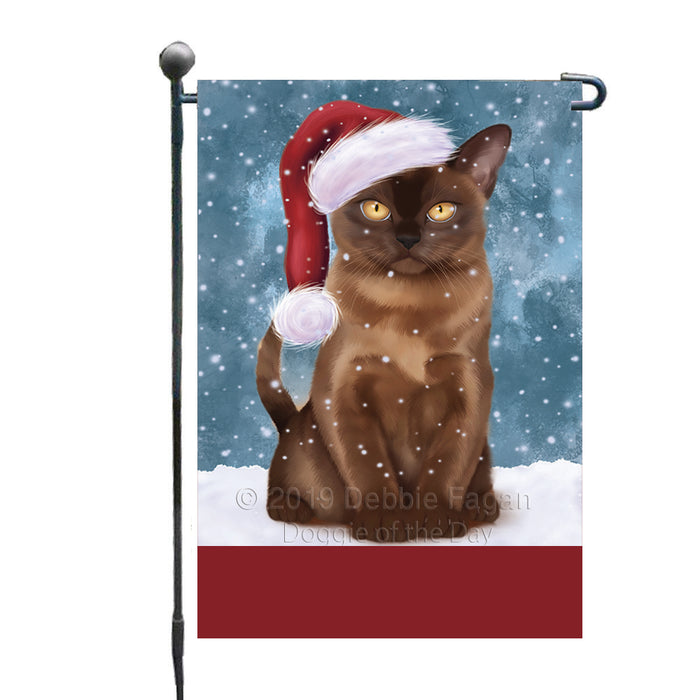 Personalized Let It Snow Happy Holidays Burmese Sable Cat Custom Garden Flags GFLG-DOTD-A62297