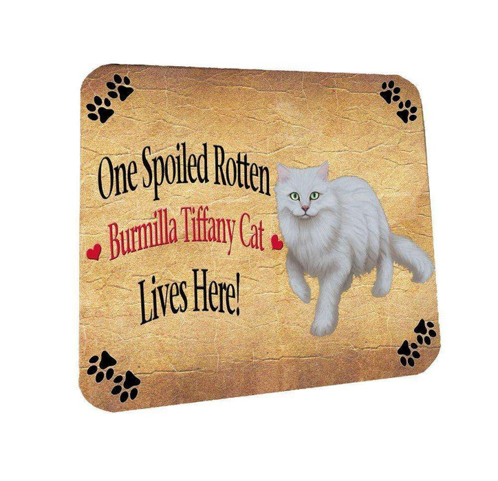 Burmilla Tiffany Spoiled Rotten Cat Coasters Set of 4