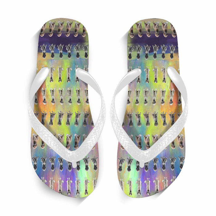 Flip Flops (For both Men and Women) (Model040)