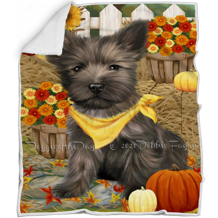 Fall Autumn Greeting Cairn Terrier Dog with Pumpkins Blanket BLNKT72516
