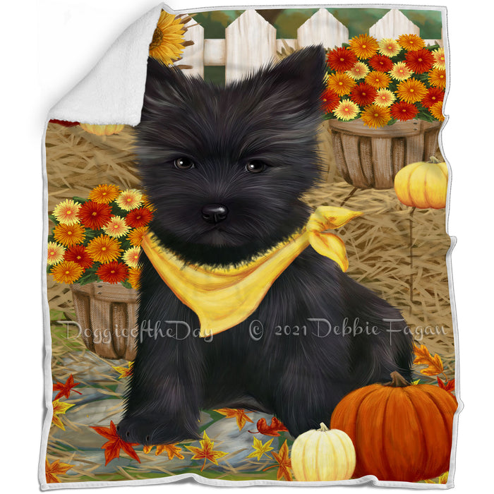 Fall Autumn Greeting Cairn Terrier Dog with Pumpkins Blanket BLNKT72534