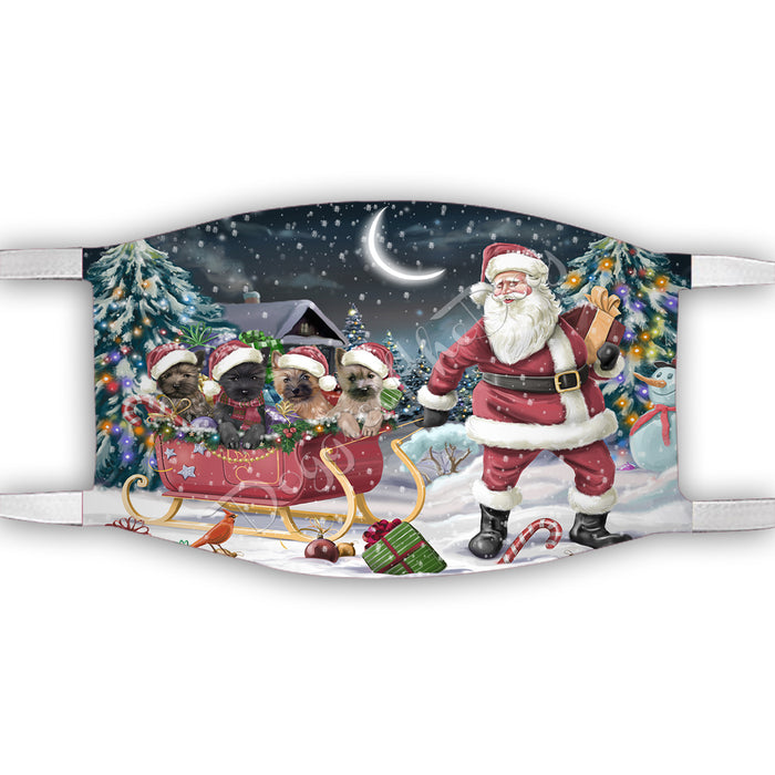 Santa Sled Dogs Christmas Happy Holidays Cairn Terrier Dogs Face Mask FM48983