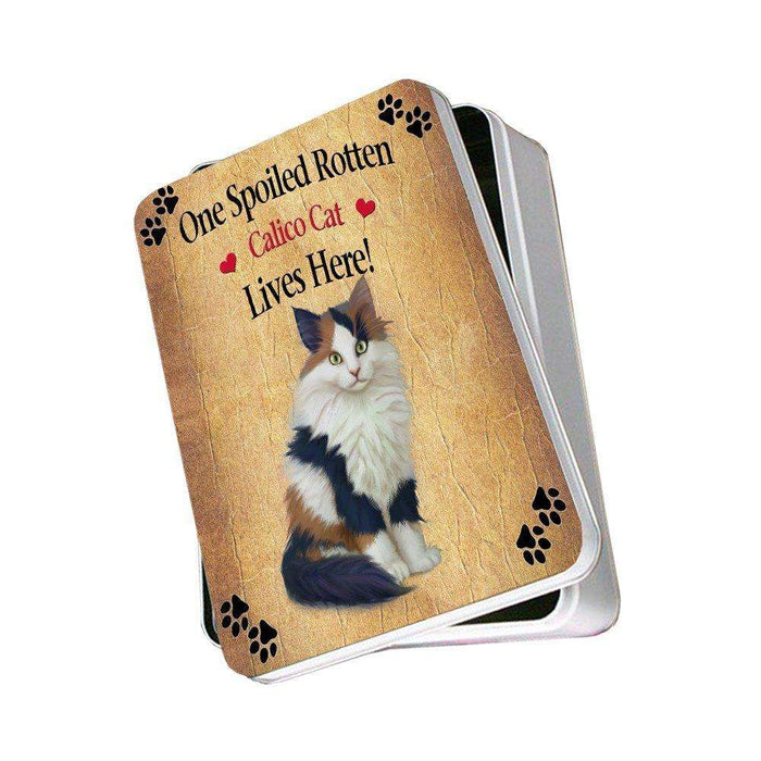 Calico Kitten Spoiled Rotten Cat Photo Storage Tin