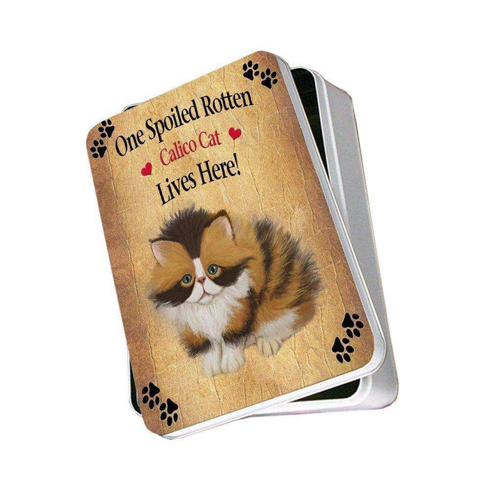 Calico Spoiled Rotten Cat Photo Storage Tin