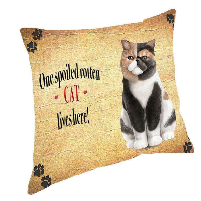 Cat Exotic Short Hair Spoiled Rotten Cat Throw Pillow