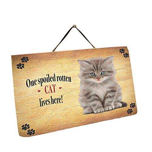Cat Grey Kitty Wall Décor Hanging Spoiled Rotten Dog Slate