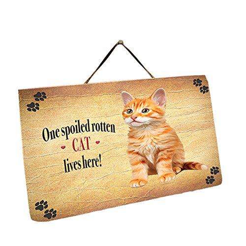 Cat Tabby Orange Wall Décor Hanging Spoiled Rotten Dog Slate