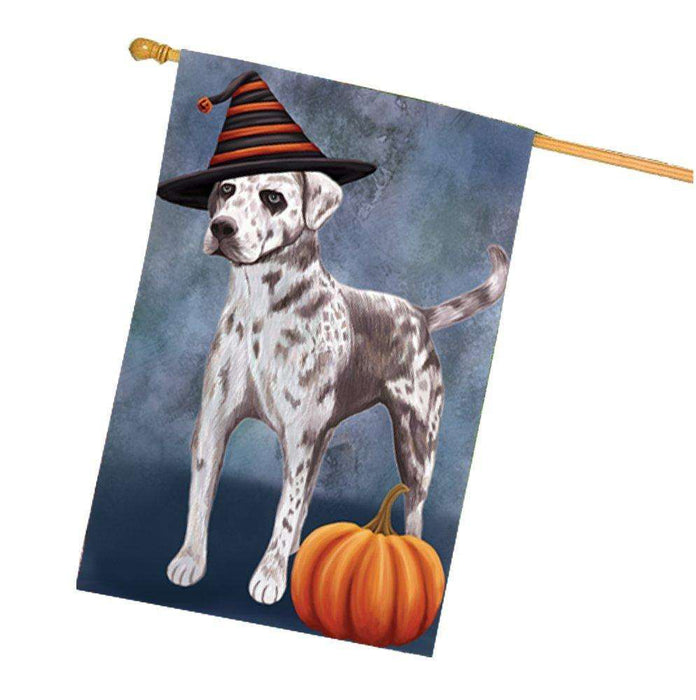 Catahoula Leopard Dog Wearing Witch Hat with Pumpkin House Flag