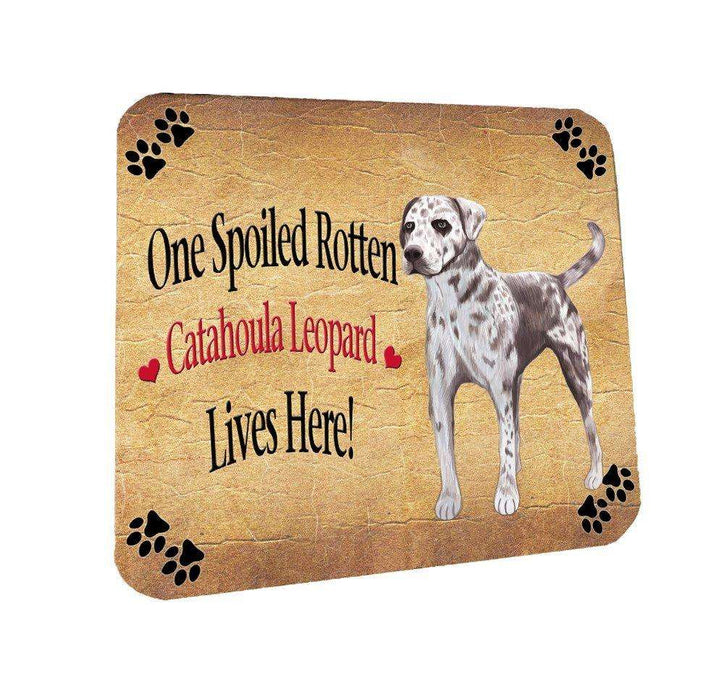 Catahoula Leopard Spoiled Rotten Dog Coasters Set of 4