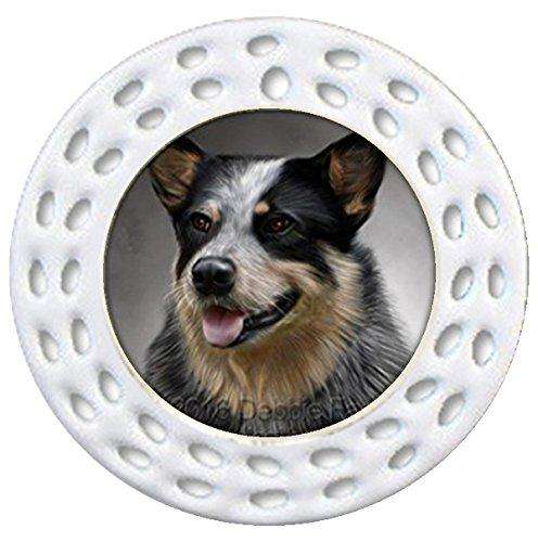 Cattle Dog