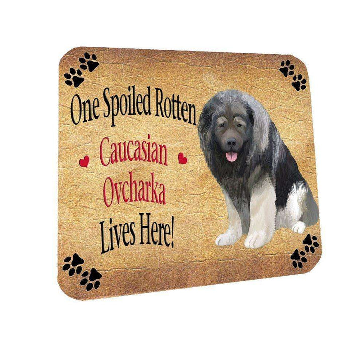Caucasian Ovcharka Spoiled Rotten Dog Coasters Set of 4