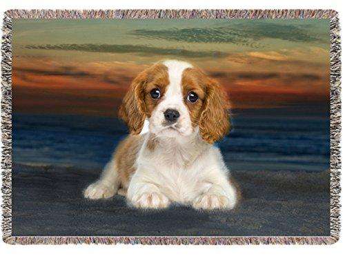 Cavalier King Charles Puppy Dog Woven Throw Blanket 54 X 38
