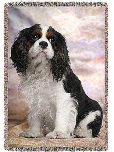 Cavalier King Charles Spaniel Dog Woven Throw Blanket 54 x 38