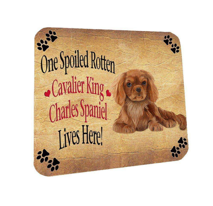 Cavalier King Charles Spaniel Spoiled Rotten Dog Coasters Set of 4