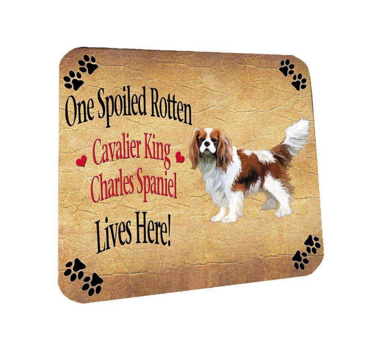 Cavalier King Charles Spaniel Spoiled Rotten Dog Coasters Set of 4