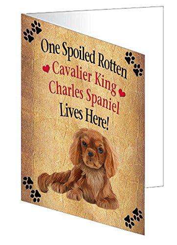 Cavalier King Charles Spaniel Spoiled Rotten Dog Handmade Artwork Assorted Pets Greeting Cards and Note Cards with Envelopes for All Occasions and Holiday Seasons