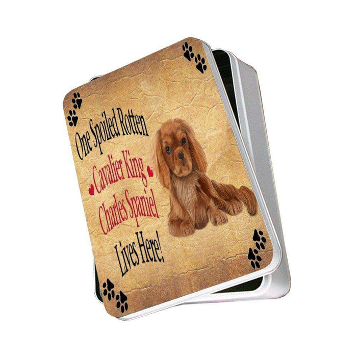 Cavalier King Charles Spaniel Spoiled Rotten Dog Photo Storage Tin