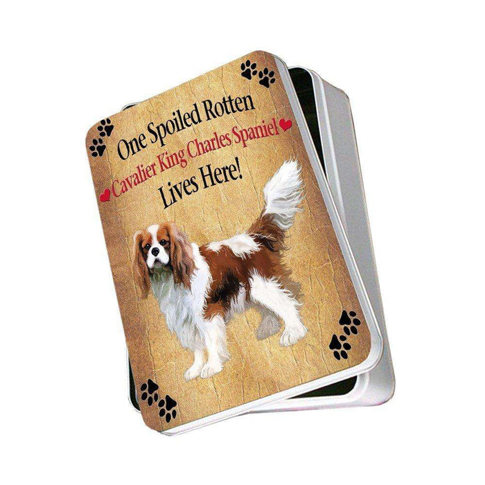 Cavalier King Charles Spaniel Spoiled Rotten Dog Photo Storage Tin