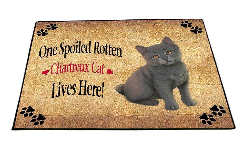 Chartreux Kitten Spoiled Rotten Cat Indoor/Outdoor Floormat