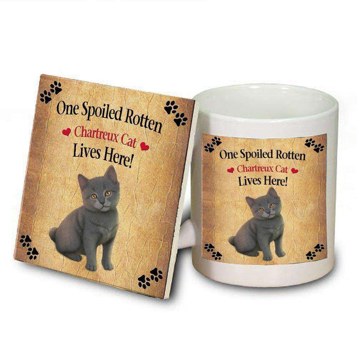 Chartreux Kitten Spoiled Rotten Cat Mug and Coaster Set