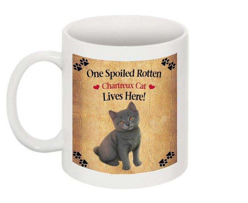 Chartreux Kitten Spoiled Rotten Cat Mug