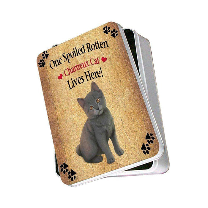 Chartreux Kitten Spoiled Rotten Cat Photo Storage Tin