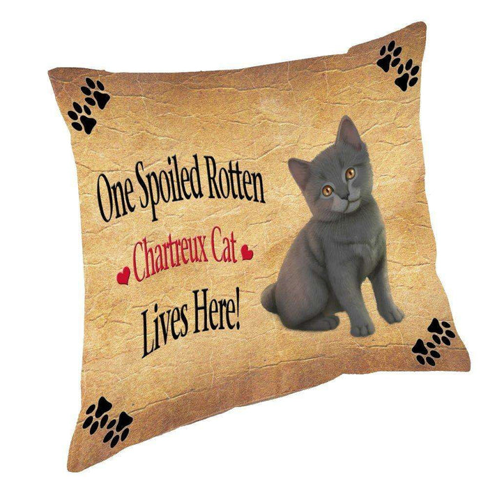 Chartreux Kitten Spoiled Rotten Cat Throw Pillow