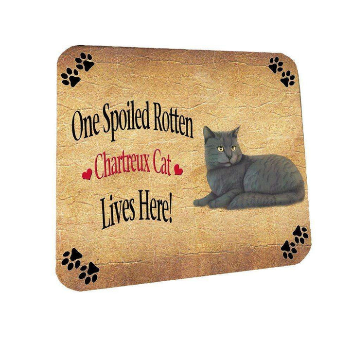 Chartreux Spoiled Rotten Cat Coasters Set of 4