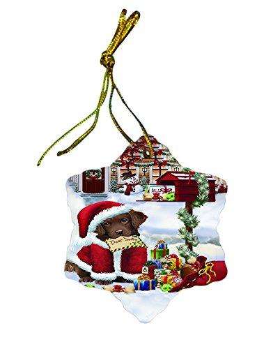 Chesapeake Bay Retriever Dog Christmas Snowflake Ceramic Ornament