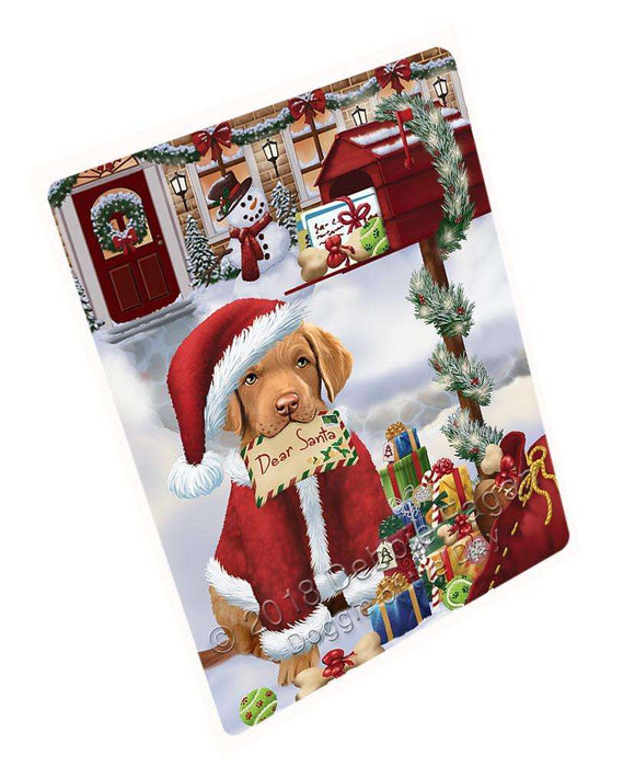 Chesapeake Bay Retriever Dog Dear Santa Letter Christmas Holiday Mailbox Blanket BLNKT102324