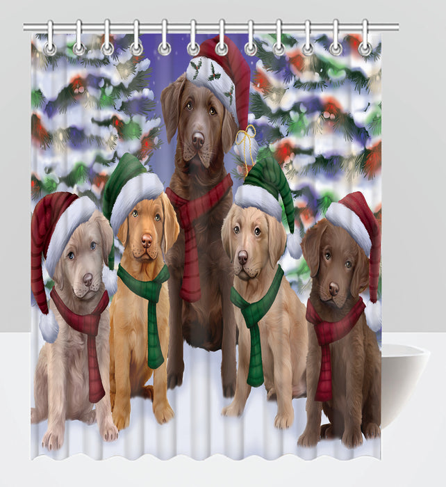 Chesapeake Bay Retriever Dogs Christmas Family Portrait in Holiday Scenic Background Shower Curtain