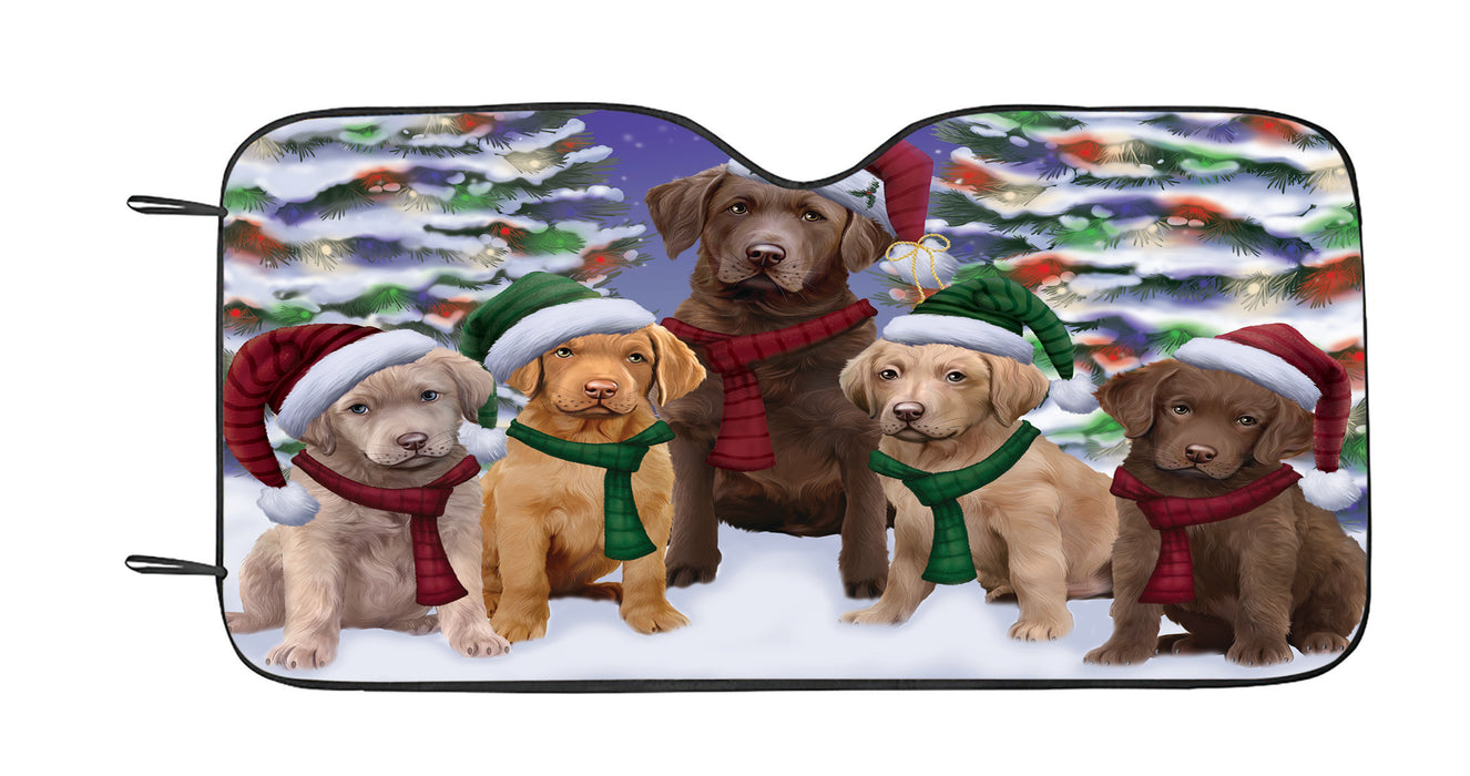 Chesapeake Bay Retriever Dogs Christmas Family Portrait in Holiday Scenic Background Car Sun Shade