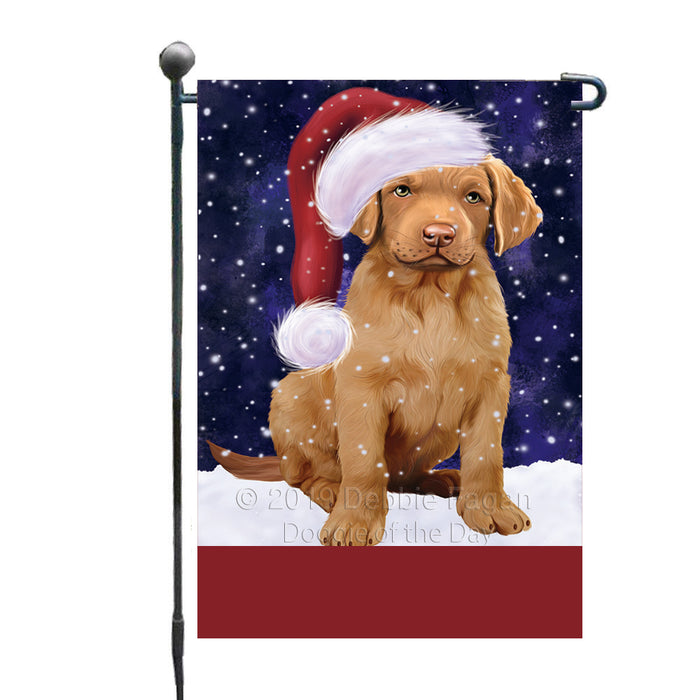 Personalized Let It Snow Happy Holidays Chesapeake Bay Retriever Dog Custom Garden Flags GFLG-DOTD-A62312