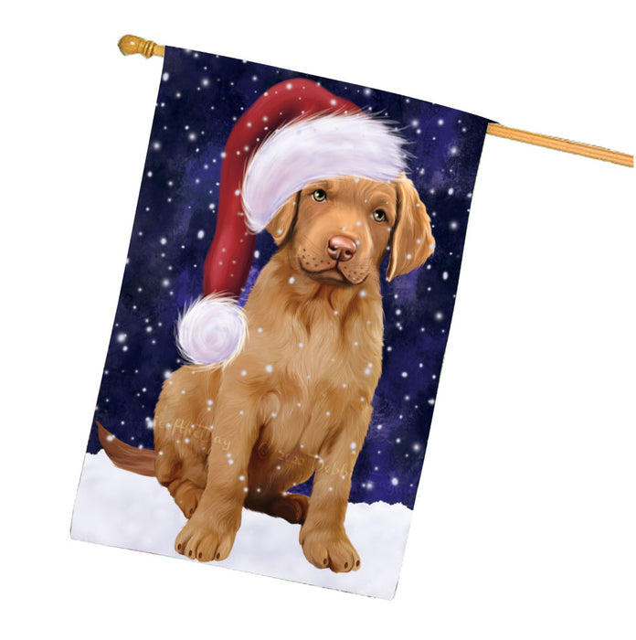 Christmas Let it Snow Chesapeake Bay Retriever Dog House Flag Outdoor Decorative Double Sided Pet Portrait Weather Resistant Premium Quality Animal Printed Home Decorative Flags 100% Polyester FLG67914