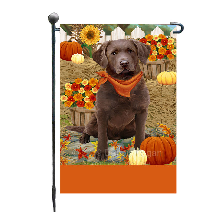 Personalized Fall Autumn Greeting Chesapeake Bay Retriever Dog with Pumpkins Custom Garden Flags GFLG-DOTD-A61868