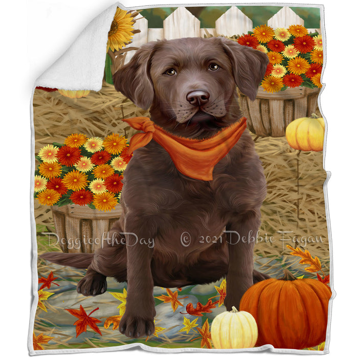 Fall Autumn Greeting Chesapeake Bay Retriever Dog with Pumpkins Blanket BLNKT72588