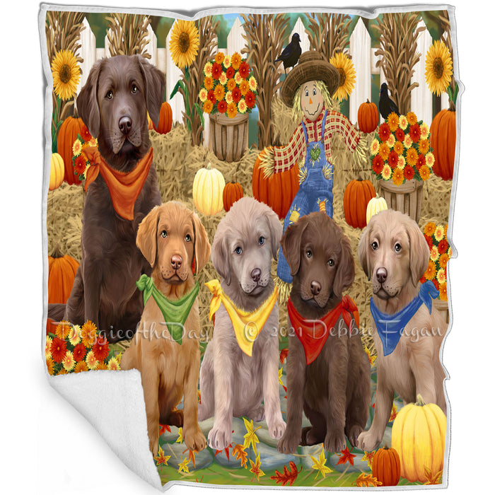 Fall Festive Gathering Chesapeake Bay Retrievers Dog with Pumpkins Blanket BLNKT71805