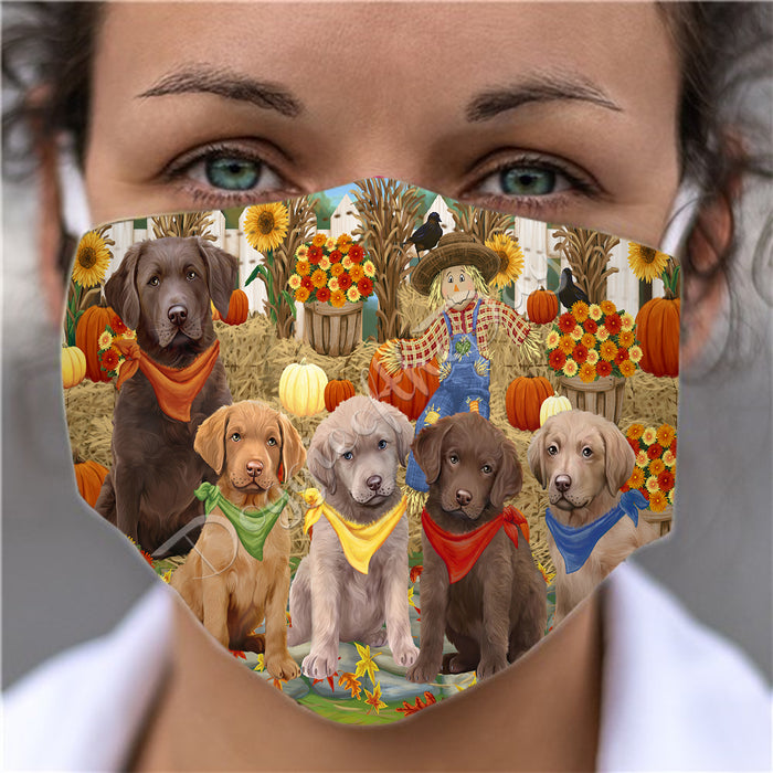 Fall Festive Harvest Time Gathering  Chesapeake Bay Retriever Dogs Face Mask FM48525