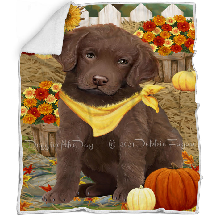 Fall Autumn Greeting Chesapeake Bay Retriever Dog with Pumpkins Blanket BLNKT72615