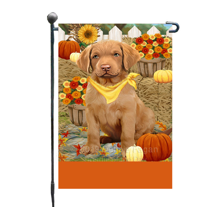 Personalized Fall Autumn Greeting Chesapeake Bay Retriever Dog with Pumpkins Custom Garden Flags GFLG-DOTD-A61870