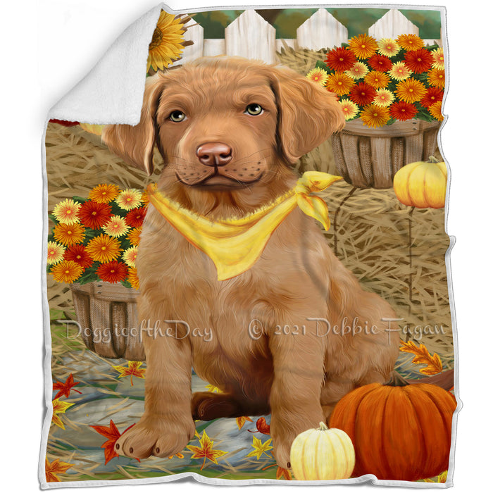 Fall Autumn Greeting Chesapeake Bay Retriever Dog with Pumpkins Blanket BLNKT72597