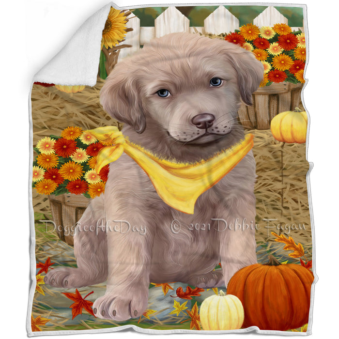 Fall Autumn Greeting Chesapeake Bay Retriever Dog with Pumpkins Blanket BLNKT72606