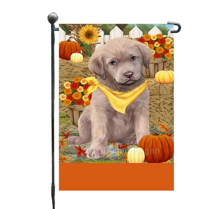 Personalized Fall Autumn Greeting Chesapeake Bay Retriever Dog with Pumpkins Custom Garden Flags GFLG-DOTD-A61871