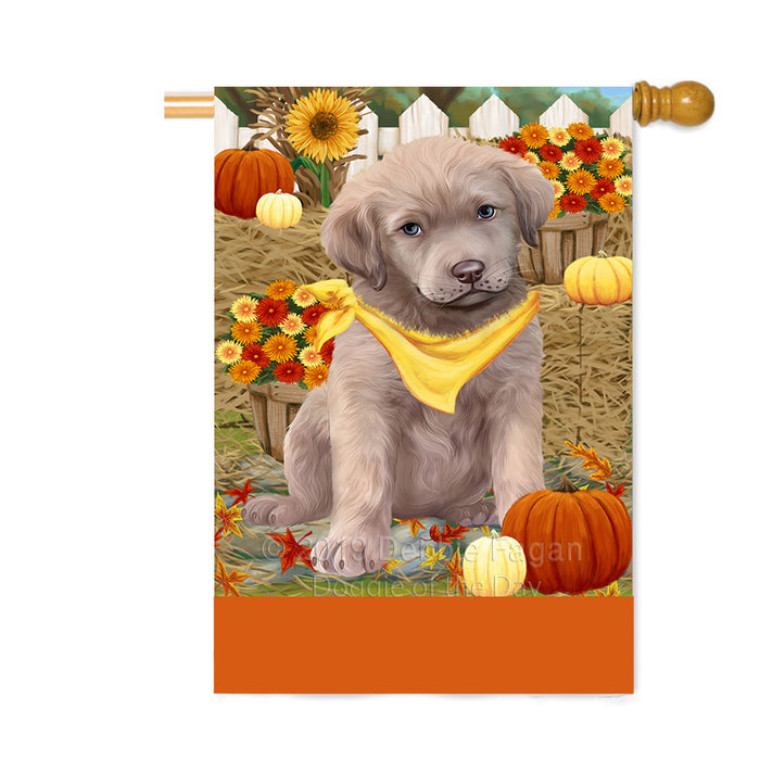 Personalized Fall Autumn Greeting Chesapeake Bay Retriever Dog with Pumpkins Custom House Flag FLG-DOTD-A61927