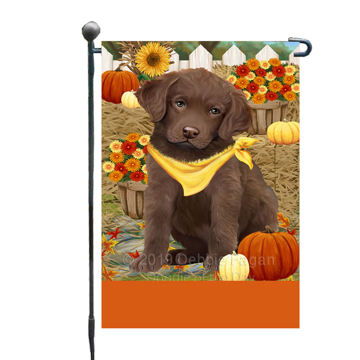 Personalized Fall Autumn Greeting Chesapeake Bay Retriever Dog with Pumpkins Custom Garden Flags GFLG-DOTD-A61872